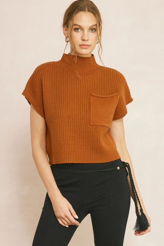 Fall’s Essential Crop Sweater- Copper